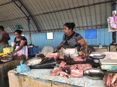 -尼甘布海鲜市场