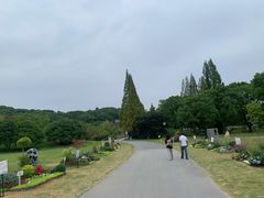 -苏州上方山国家森林公园