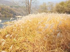 景点-玉渡山自然风景区