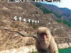 -白帝城·瞿塘峡景区