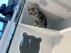 -萌兽医馆·眼科·异宠专科(三里屯店)