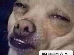 -吉野家(上海美罗城店)