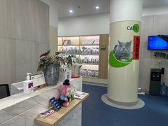 -佩兹宠物医院肿瘤专科·眼科·牙科(黄浦店)