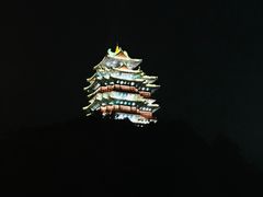-七欣天香辣蟹火锅(南京建宁路大观天地店)
