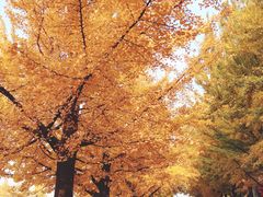 -辽东学院(南校区)