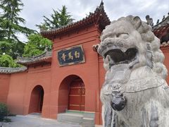 -洛阳白马寺