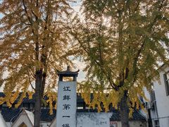 -东梓关景区村庄