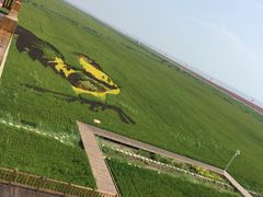 -红海滩国家风景廊道