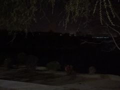 -丁香湖公园