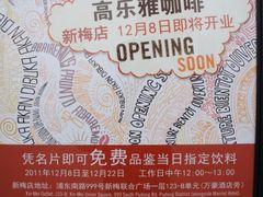 -Gloria Jean's Coffees