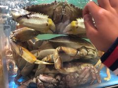 -盒马鲜生(宝地店)