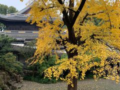 -无锡惠山寺