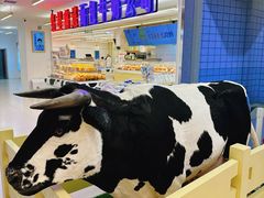 -红星前进面包牛奶公司(君太店)