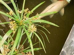 -鱼桥巷·美学川菜