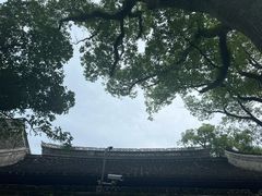 -天一阁博物院
