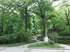 android_upload_pic-南山风景名胜区