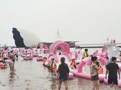 -碧海金沙