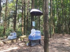 -火炉山森林公园