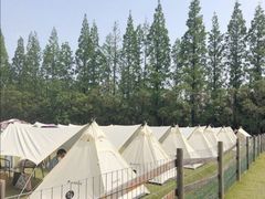 -前小桔亲子创意农场·草莓采摘·露营烧烤