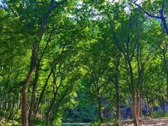 -楠溪江风景名胜区