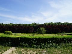 -秦始皇帝陵博物院-丽山园