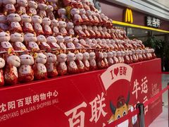 -沈阳百联购物中心(青年大街店)