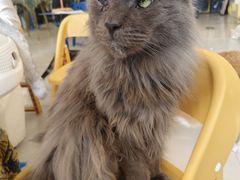 -平行世界·猫咖(首经贸店)