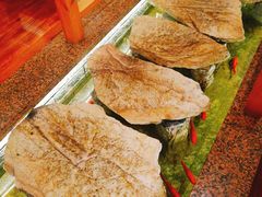 -花枝日本料理(金沟河店)