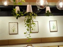 -柴务处·柴犬主题狗咖