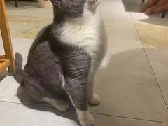 -犇牛记·鲜牛肉火锅