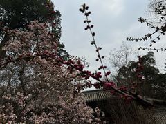 -潭柘寺景区