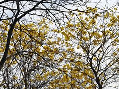 -中国移动南方基地