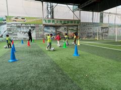 -飞梦少儿足球培训(塘桥校区)