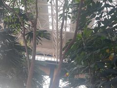 -郑州银基黄帝宫御温泉