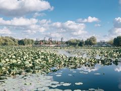 -长春市南湖公园