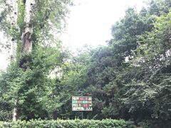 -西安市长乐公园