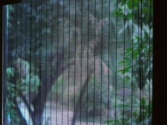 -椿杨樘·明康泡浴养生馆(重庆店)