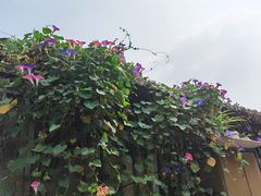 -晋阳饭庄(虎坊桥店)