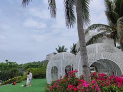 -三亚蜈支洲岛旅游区