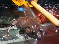 -盒马鲜生(顺义店)