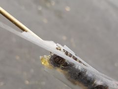 -王中王刨冰