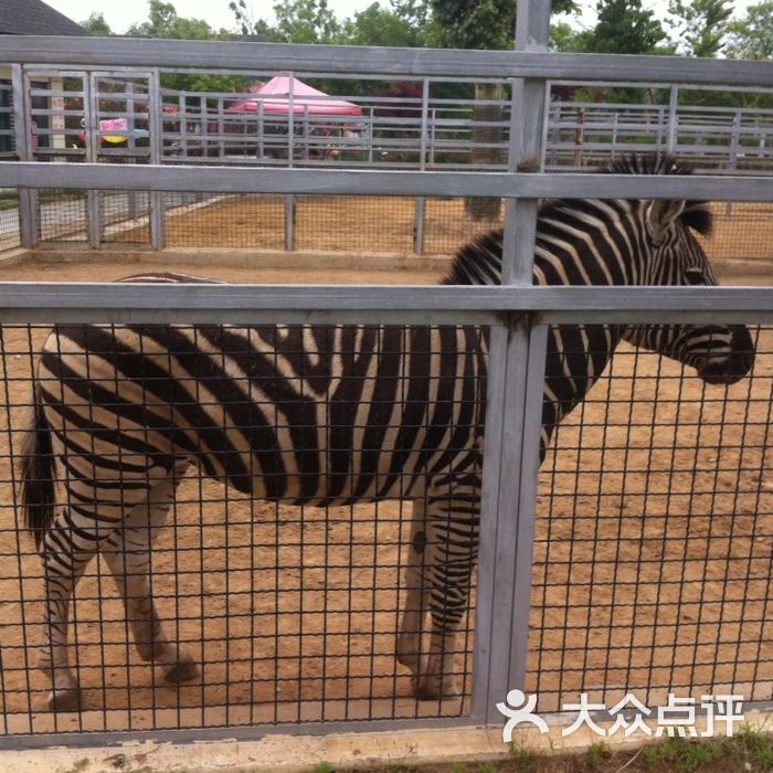 臨沂動植物園