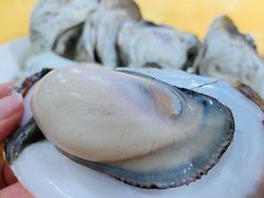 -蚝专家(北滘店)