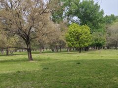 -承德避暑山庄景区