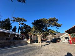-妙峰山风景名胜区