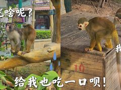 -灵玲国际马戏城