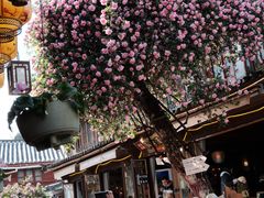 -民食香·腊排骨野生菌美食(木府店)