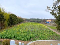 -同里国家湿地公园