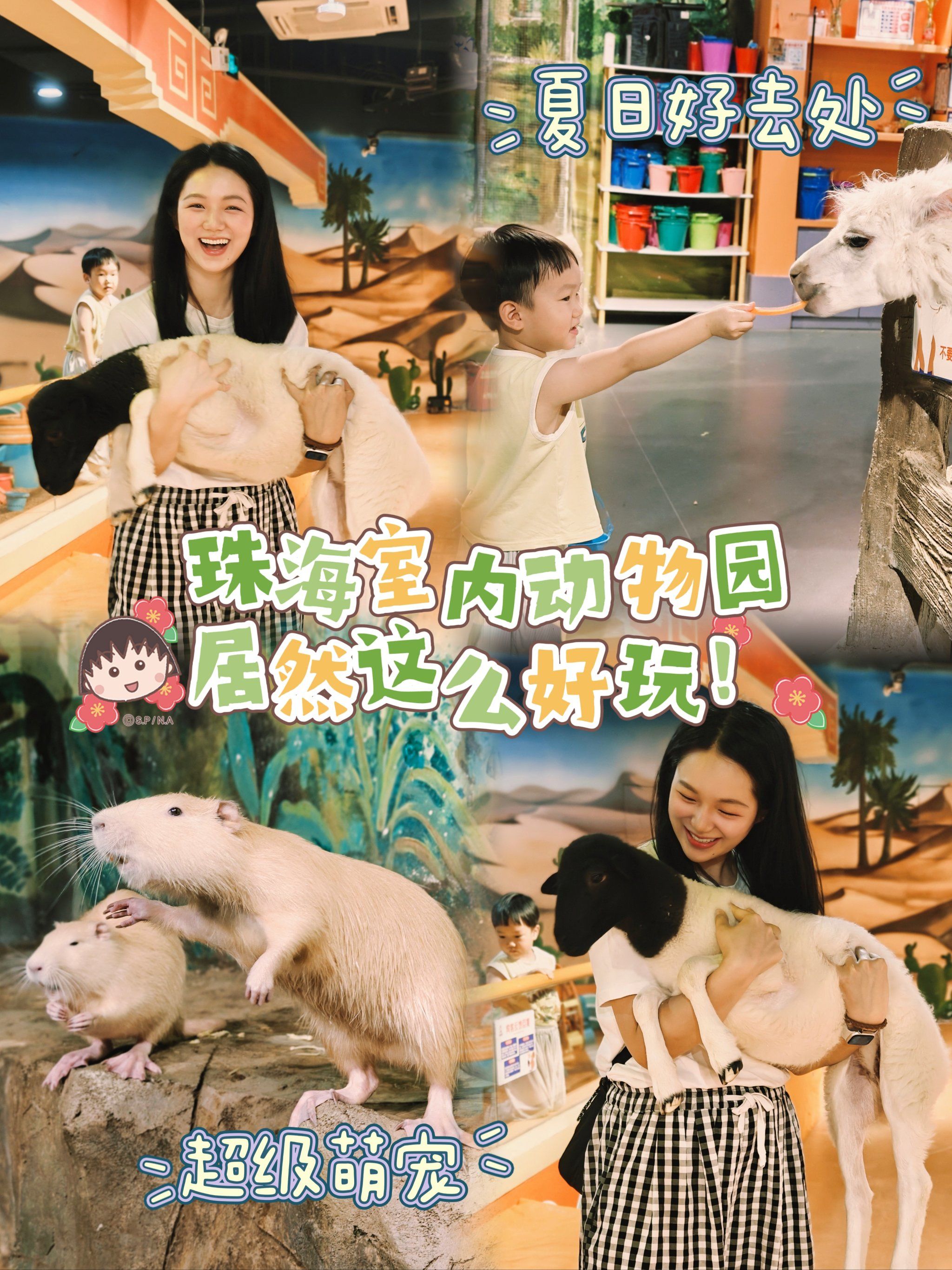 珠海可以超近距离接触萌宠的首家室内动物园!