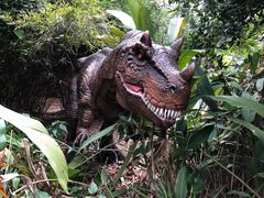 -海南热带野生动植物园